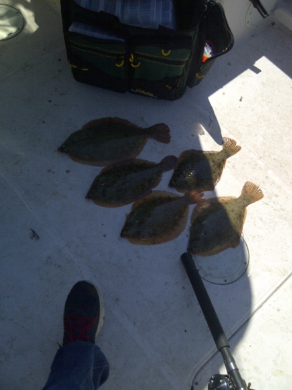 Danvers River Flounder