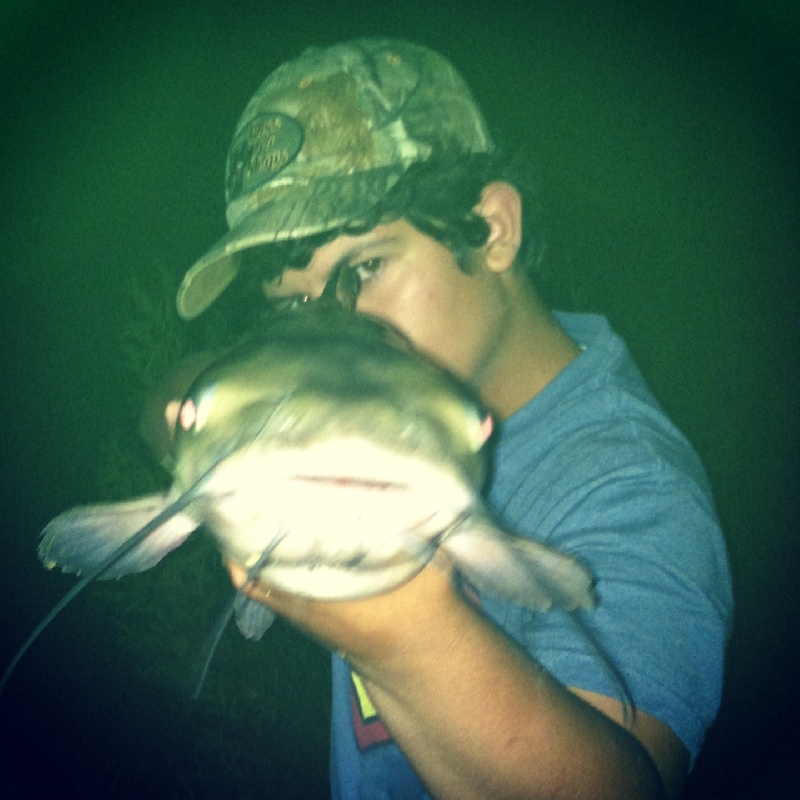 Another catfish shot