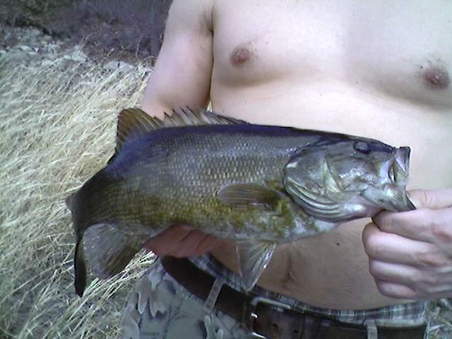 2lb. 12oz. Smallmouth Bass