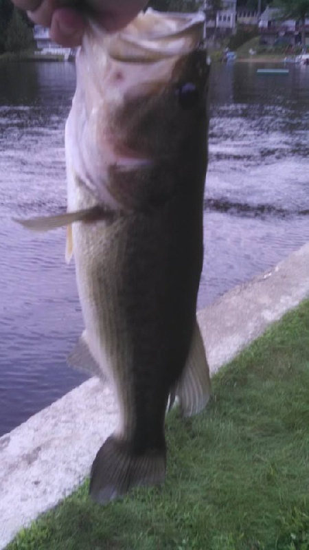 Sawyer Lake Bass