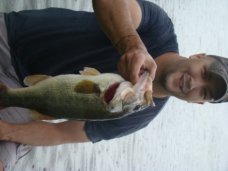 Rainy day bass.