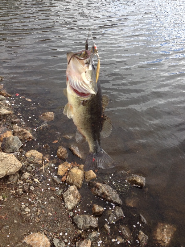 Fishing near Upper Saddle River in Bergen County, New Jersey NJ Fish
