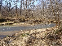 Upper Patuxant River Fly Fishing Only Section