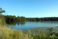 Nutting Lake